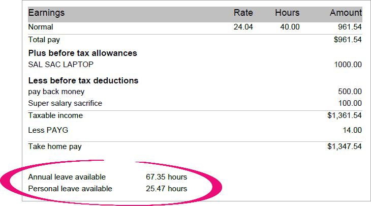 example leave balances on payslip