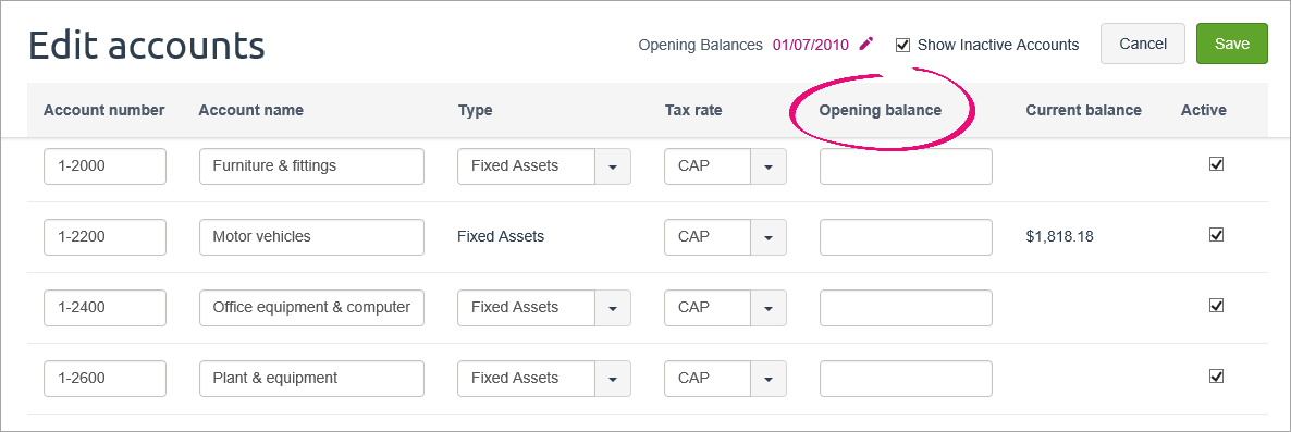 Edit accounts page with opening balance column highlighted