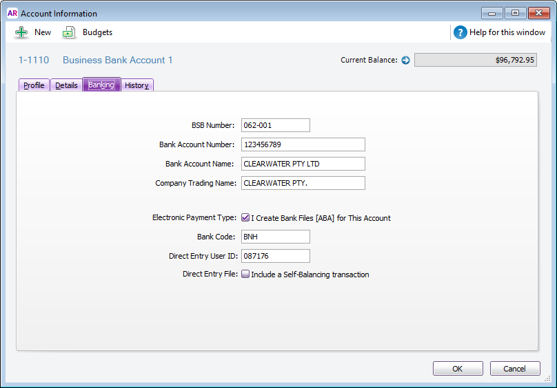 Account information window with example banking details Account information window with example banking details