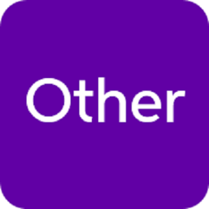 Other Other